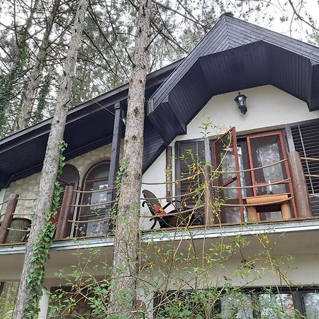 Guesthouse Bajka Vinci الغرفة الصورة