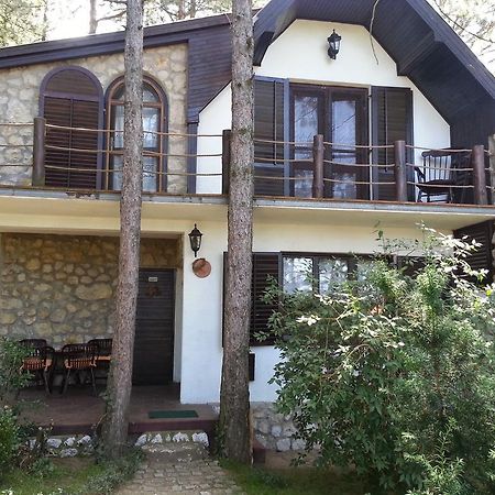 Guesthouse Bajka Vinci المظهر الخارجي الصورة