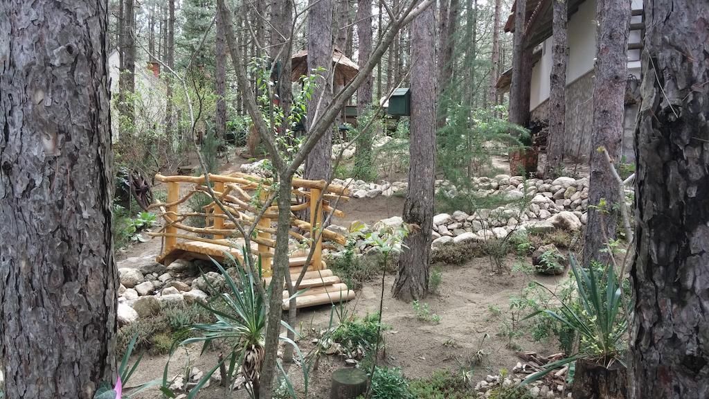 Guesthouse Bajka Vinci المظهر الخارجي الصورة