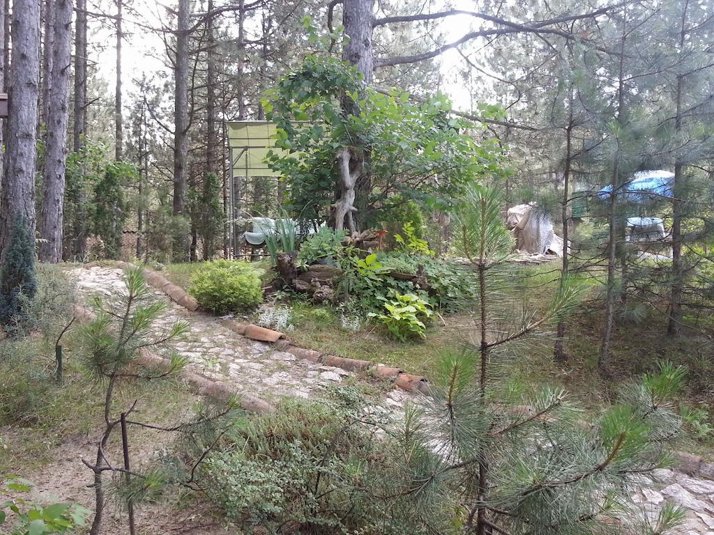 Guesthouse Bajka Vinci المظهر الخارجي الصورة