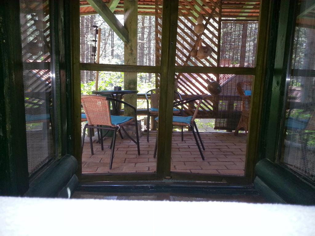 Guesthouse Bajka Vinci الغرفة الصورة