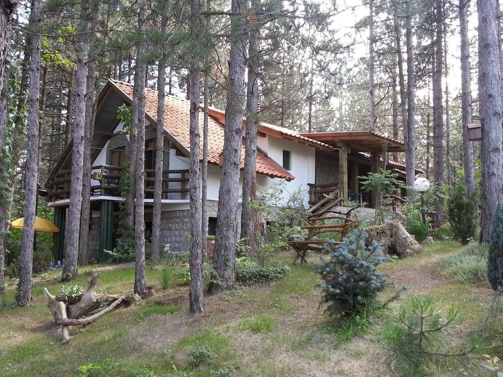 Guesthouse Bajka Vinci المظهر الخارجي الصورة