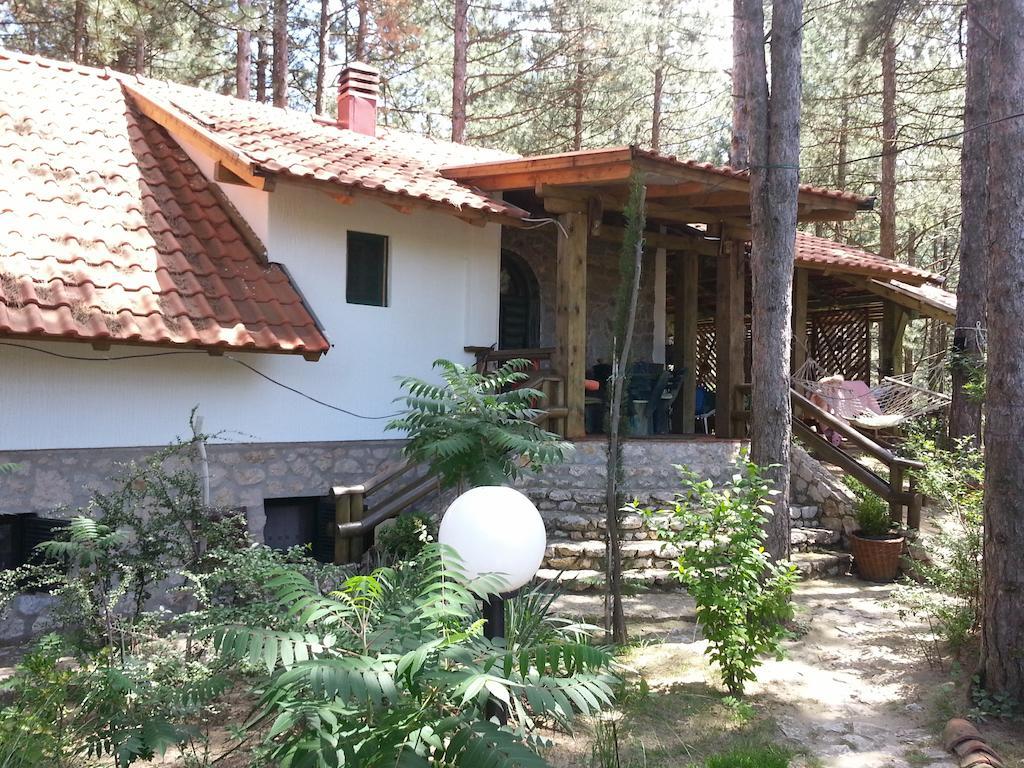Guesthouse Bajka Vinci المظهر الخارجي الصورة