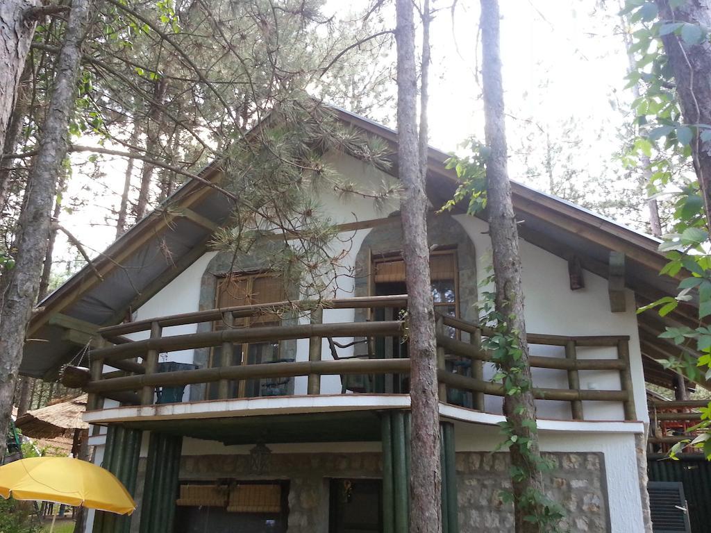 Guesthouse Bajka Vinci المظهر الخارجي الصورة
