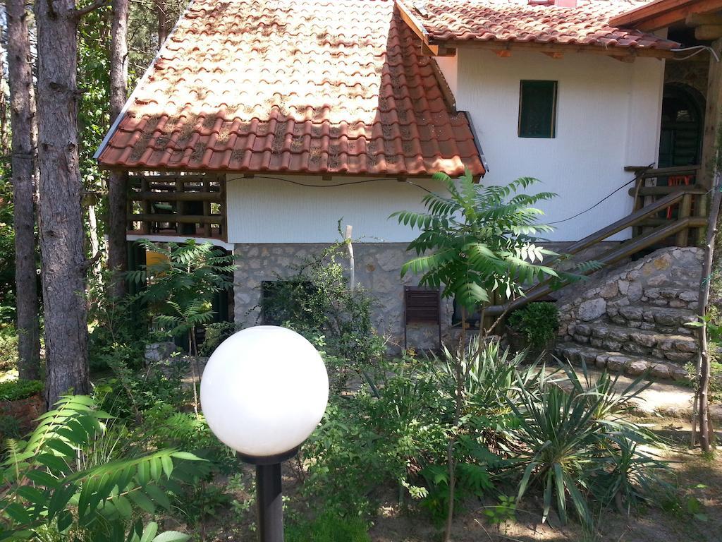 Guesthouse Bajka Vinci المظهر الخارجي الصورة