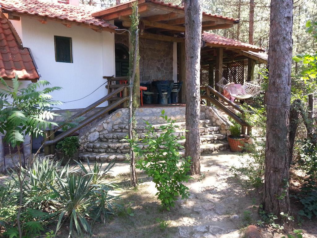 Guesthouse Bajka Vinci المظهر الخارجي الصورة
