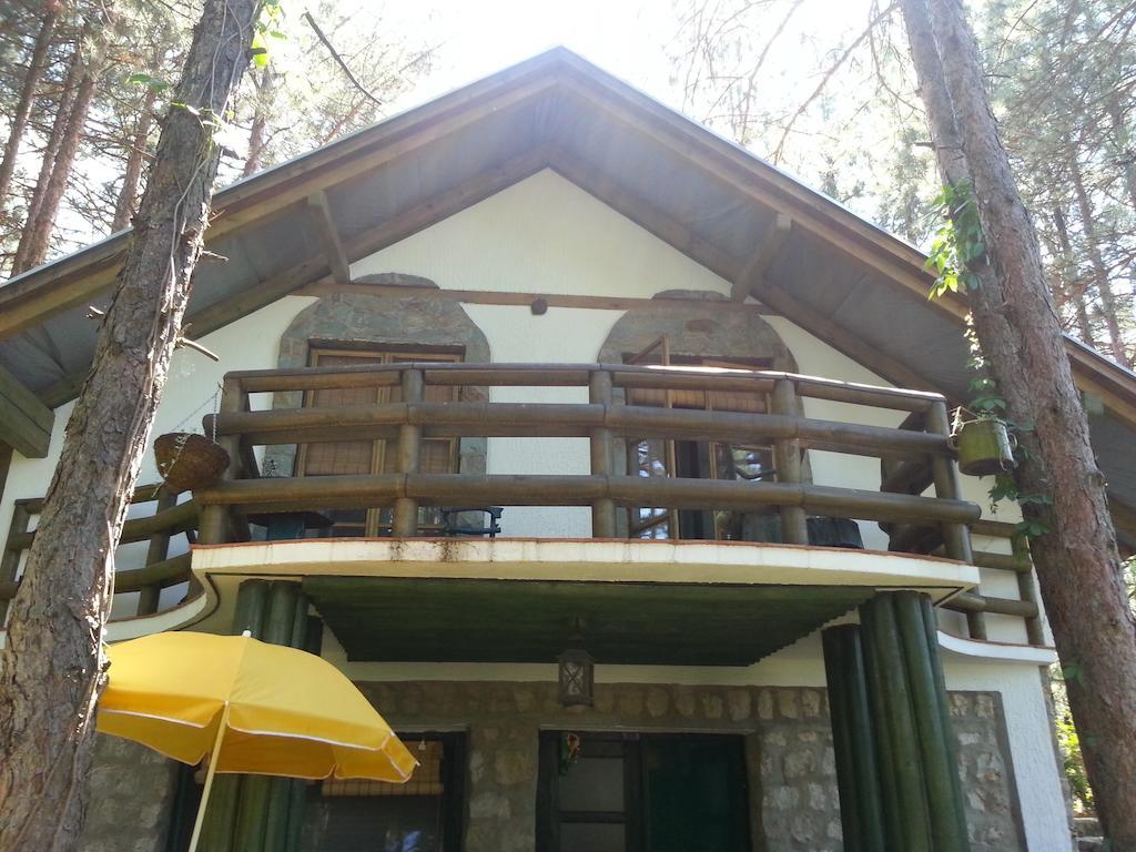 Guesthouse Bajka Vinci المظهر الخارجي الصورة