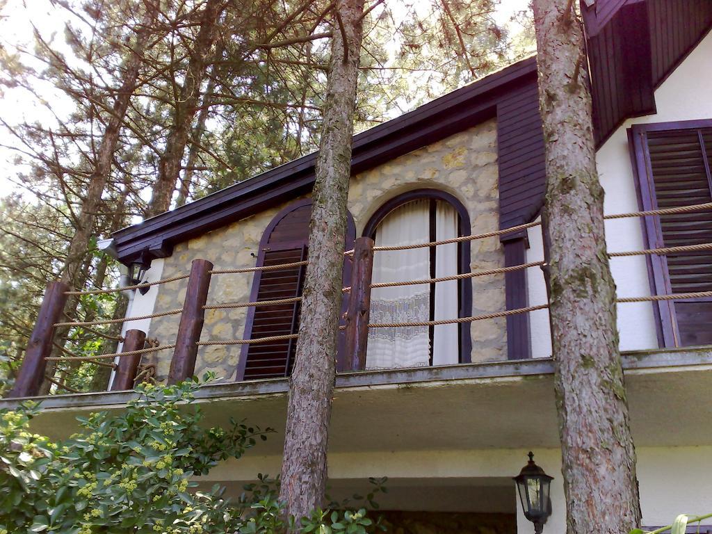 Guesthouse Bajka Vinci المظهر الخارجي الصورة
