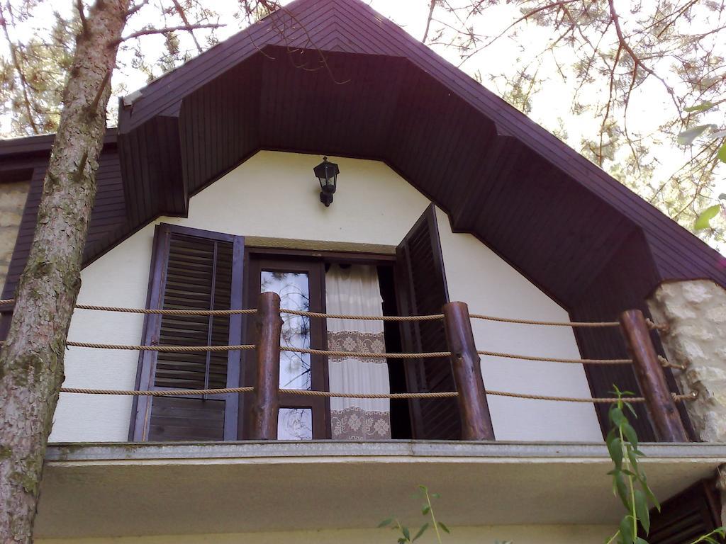 Guesthouse Bajka Vinci المظهر الخارجي الصورة