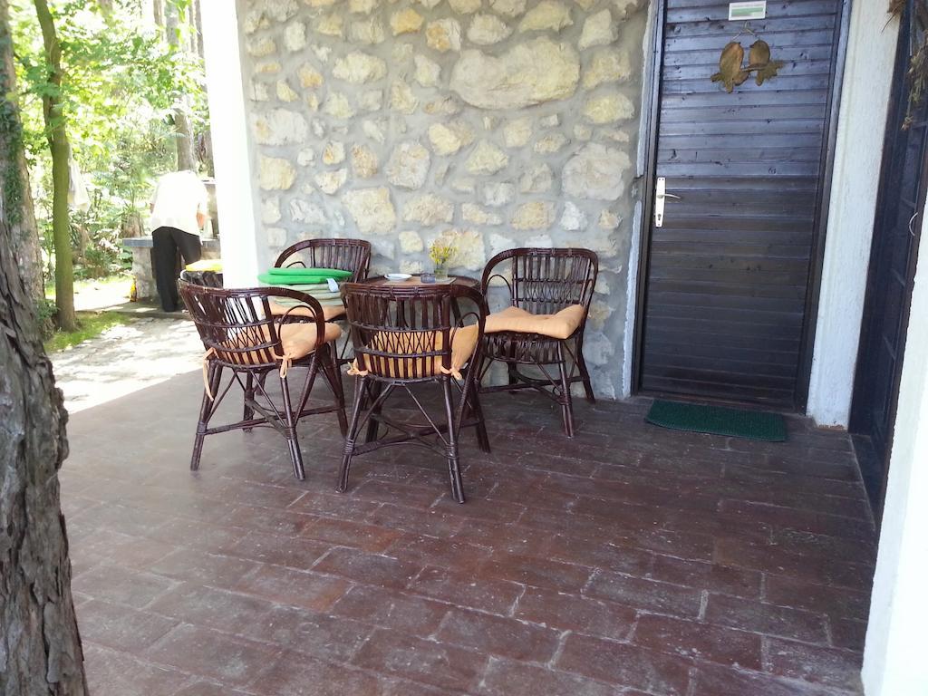 Guesthouse Bajka Vinci المظهر الخارجي الصورة