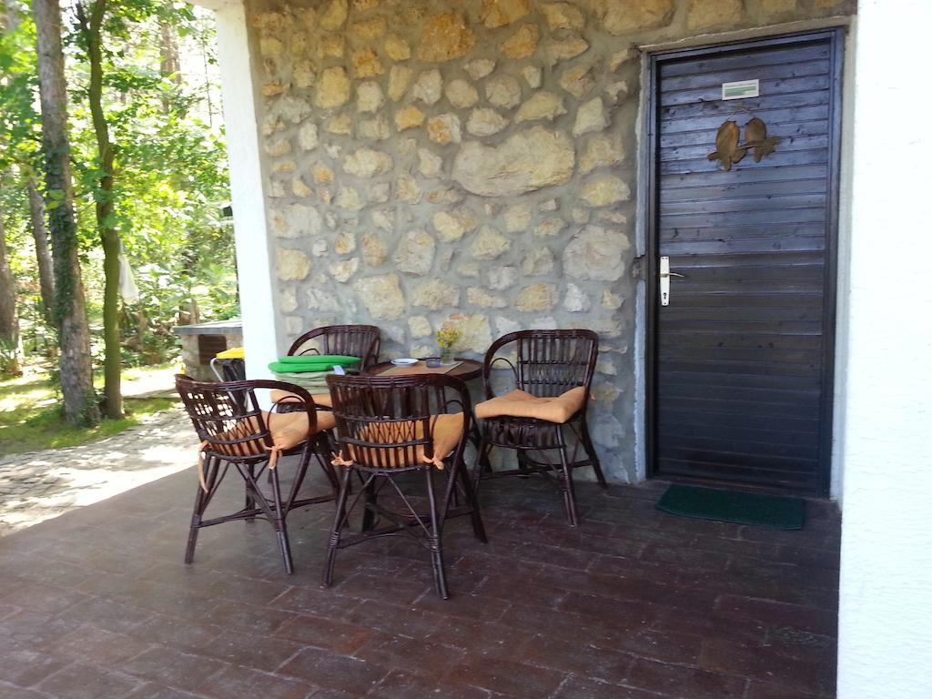Guesthouse Bajka Vinci المظهر الخارجي الصورة