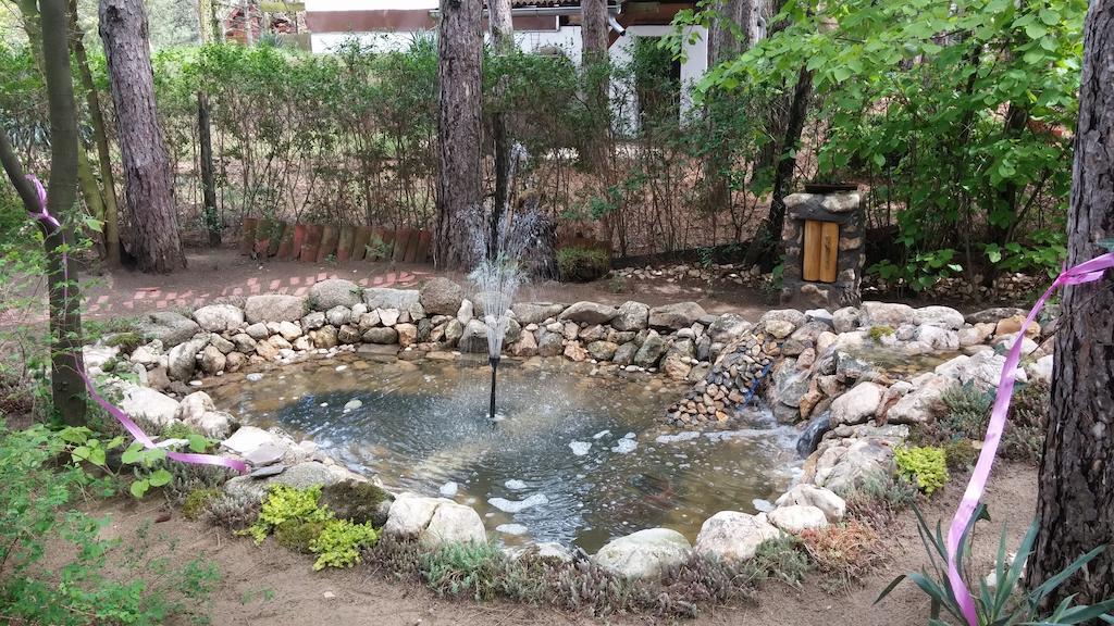Guesthouse Bajka Vinci المظهر الخارجي الصورة