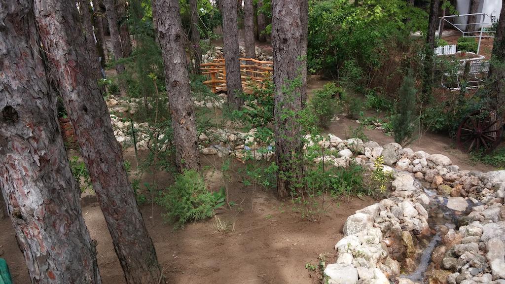 Guesthouse Bajka Vinci المظهر الخارجي الصورة