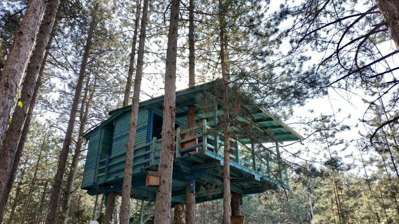 Guesthouse Bajka Vinci المظهر الخارجي الصورة