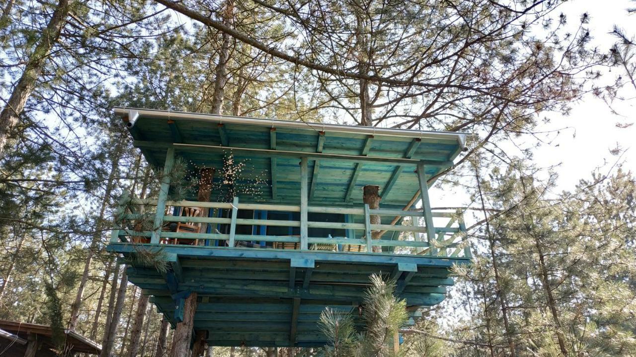 Guesthouse Bajka Vinci المظهر الخارجي الصورة