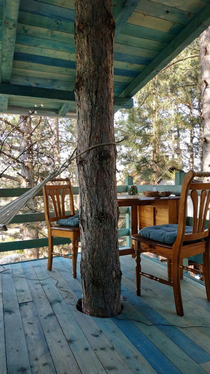 Guesthouse Bajka Vinci المظهر الخارجي الصورة