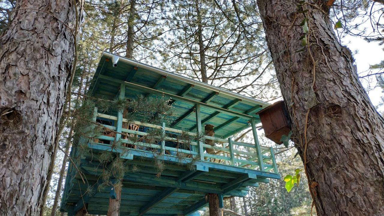 Guesthouse Bajka Vinci المظهر الخارجي الصورة
